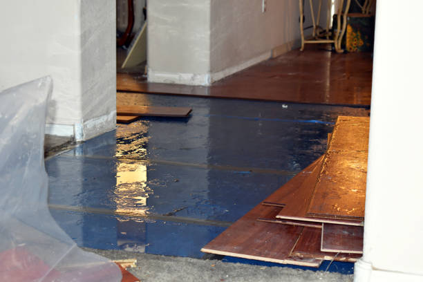 Professional Basement Flood Cleanup technician working in Skyforest, CA